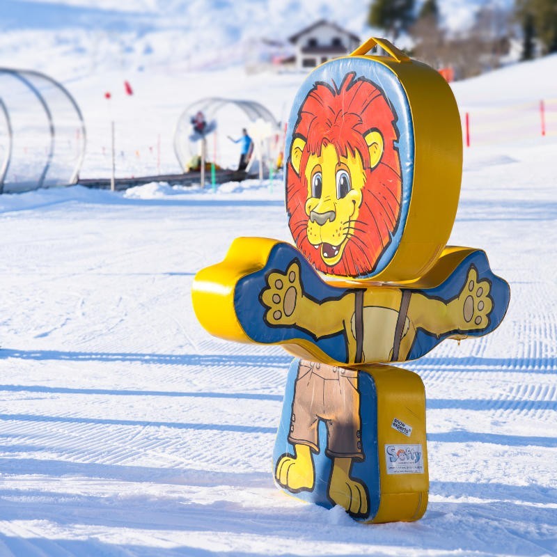 Privat Skikurs Kinder