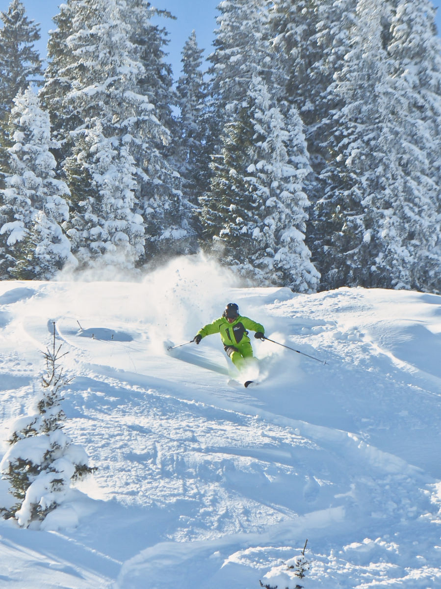 Freerider im Tiefschnee, umgeben von verschneiten Fichten im Hintergrund, genießen eine Abfahrt im unberührten Pulverschnee.